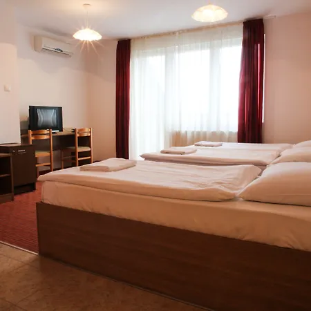 Hotel Silver Center 3*