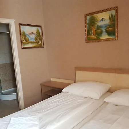 ホテル シルバー シティ センター 3*