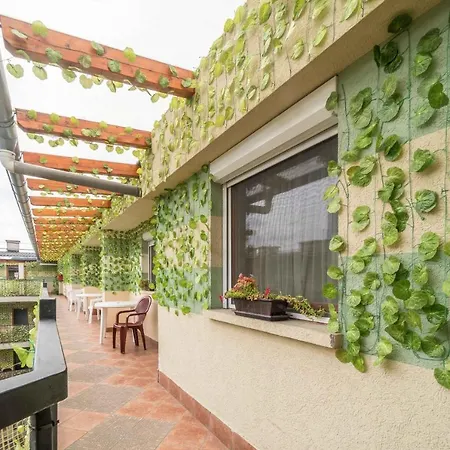 シルバー シティ センター