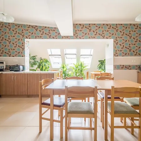 ホテル シルバー シティ センター 3*