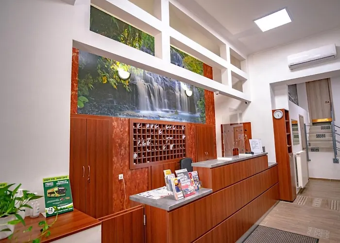 Hotel Silver Center 3*