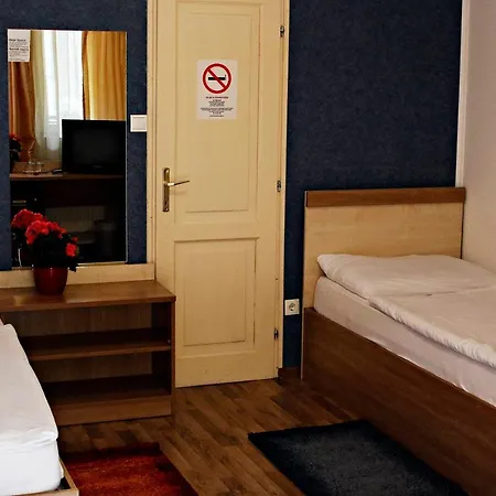 Hotel Silver Center 3*