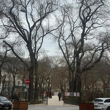 Silver Center